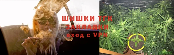 сатива Бугульма