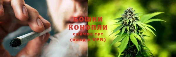 сатива Бугульма