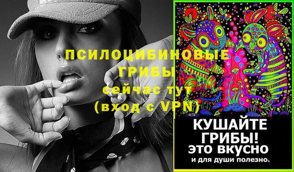 сатива Бугульма