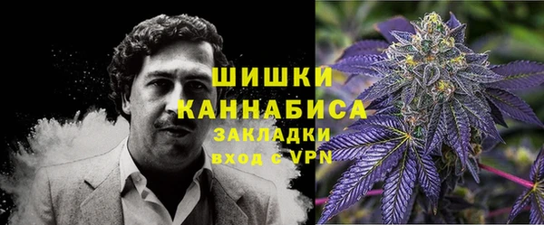 сатива Бугульма